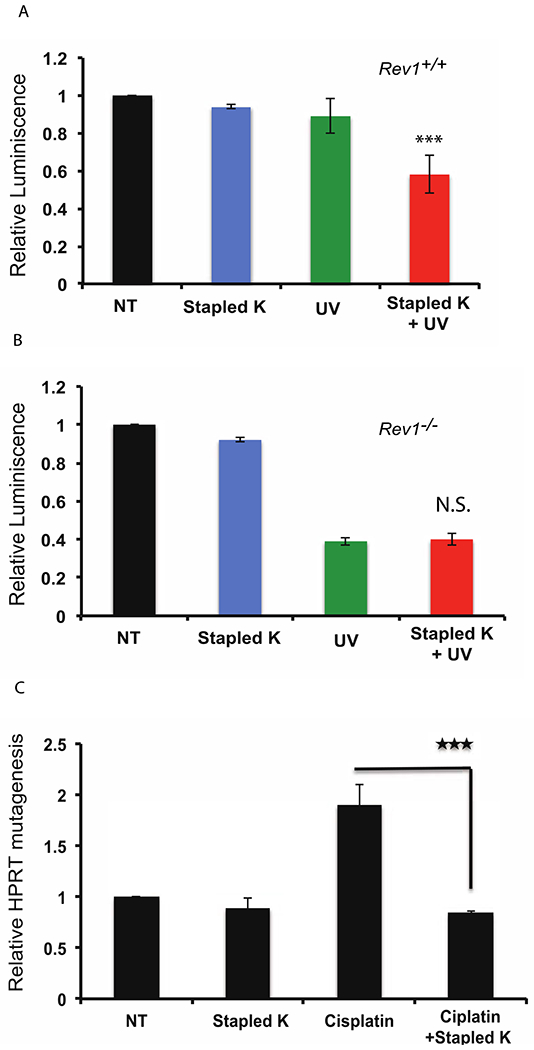 Figure 4: