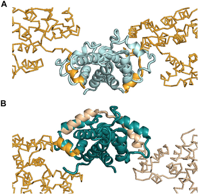 FIGURE 3