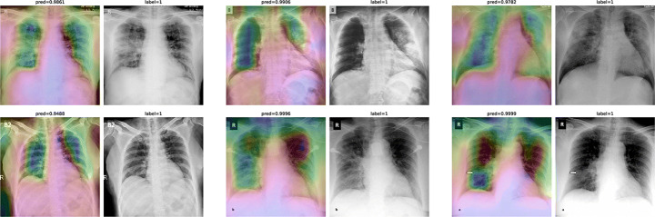 Fig. 12