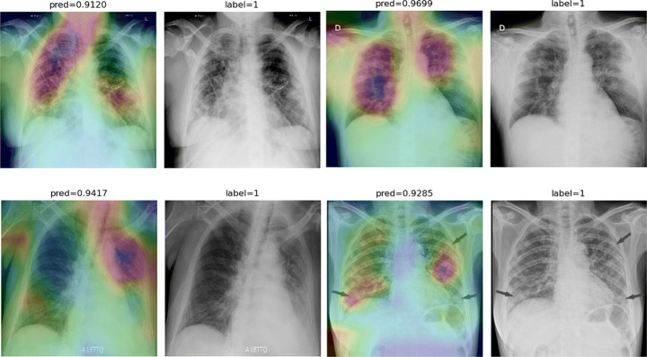 Fig. 17