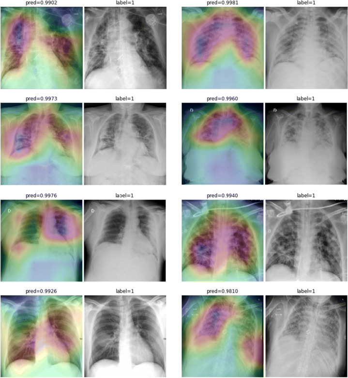 Fig. 24