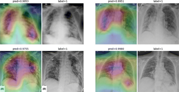 Fig. 20