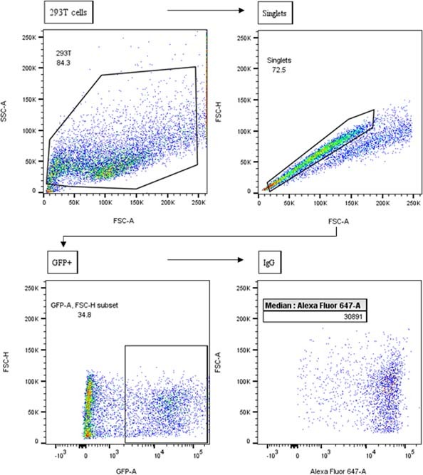 Extended Data Fig. 6