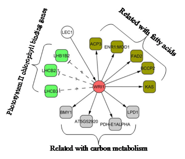 Figure 9