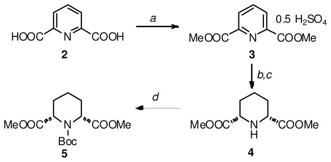 Scheme 2