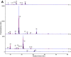 Fig. 3
