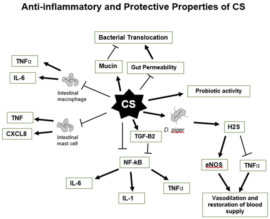 Figure 2: