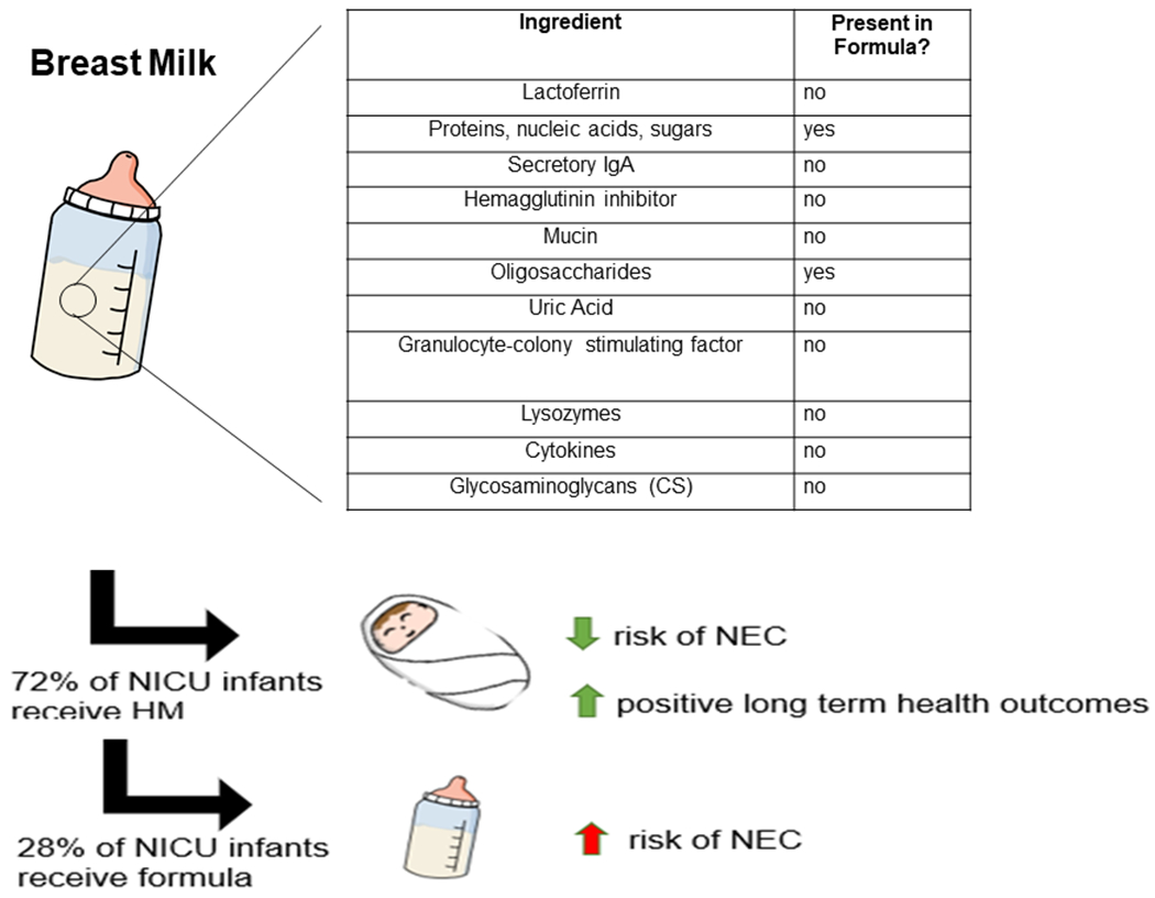 Figure 1: