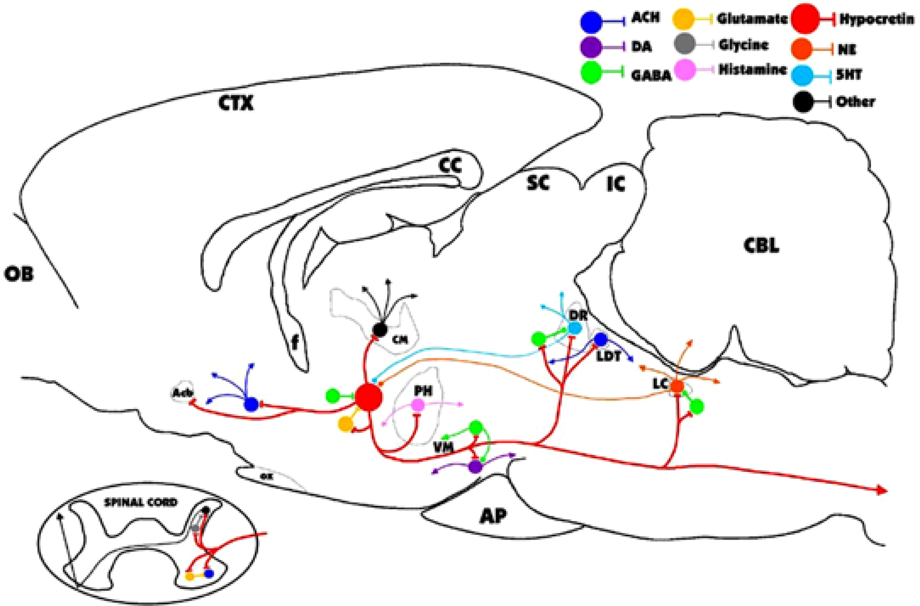 Fig. 2.