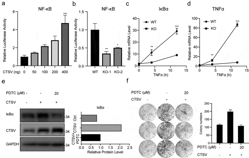 Figure 5.