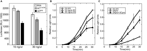 FIG. 2.