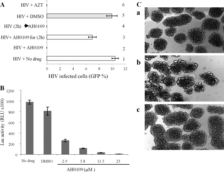 Fig 2