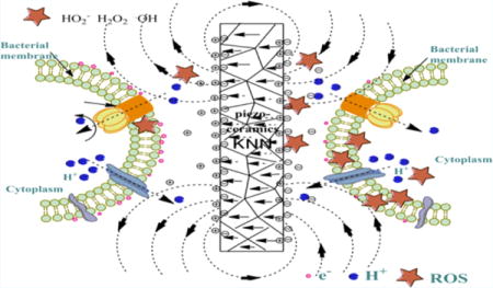 graphic file with name nihms837095u1.jpg