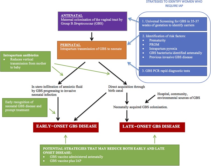 Figure 1