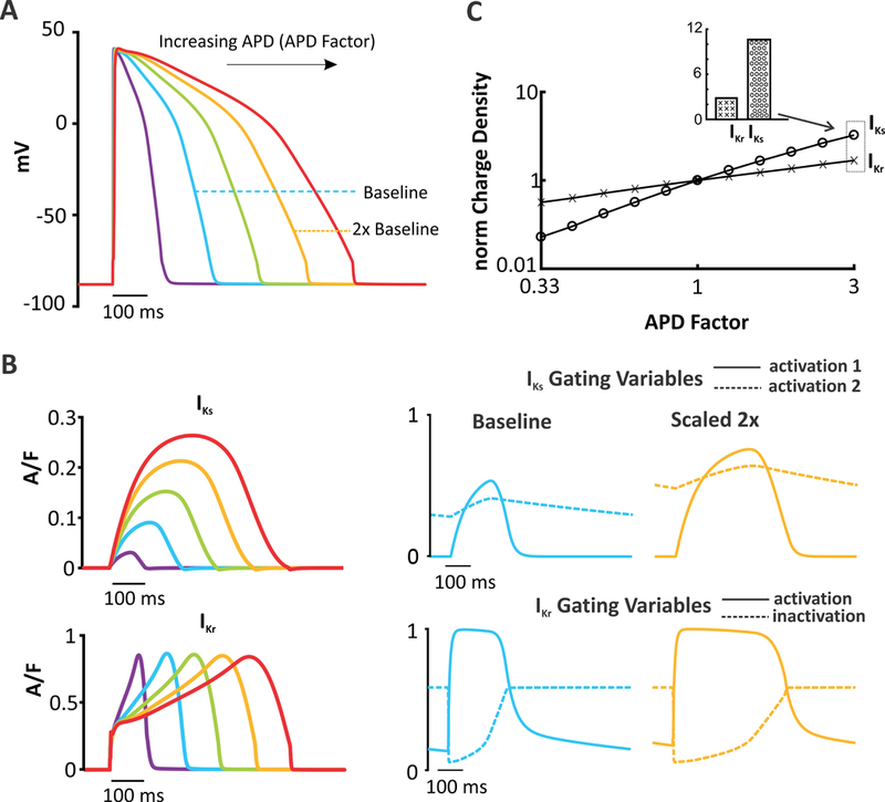 Figure 6.