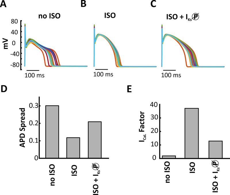 Figure 7.