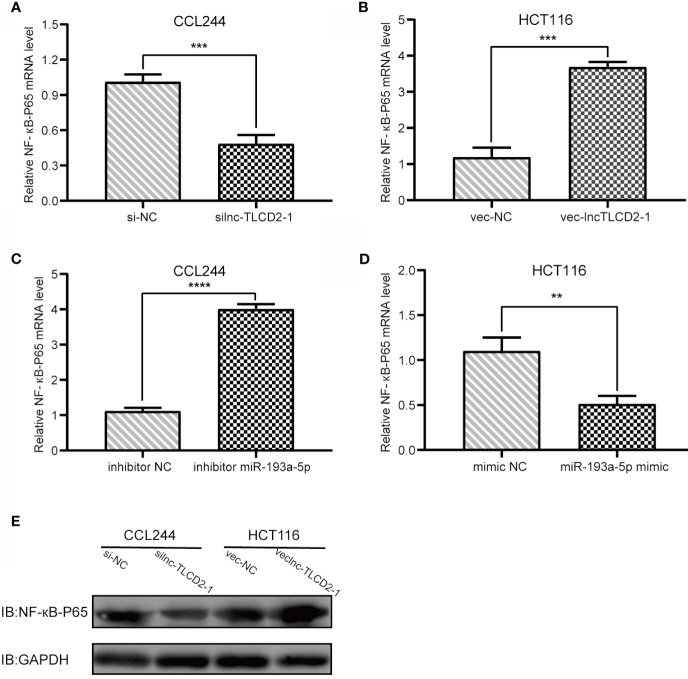 Figure 6