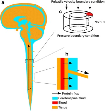 Fig. 3