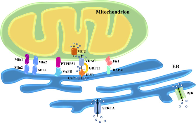 Fig. 1