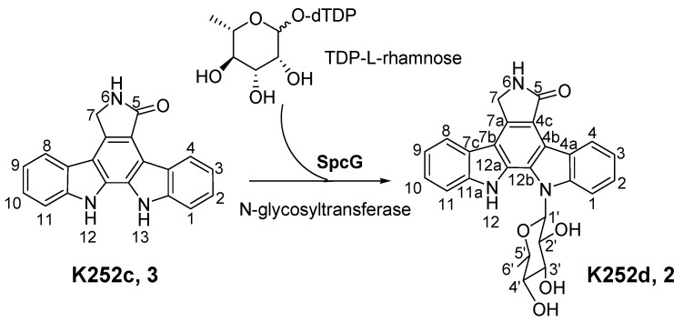 Scheme 2