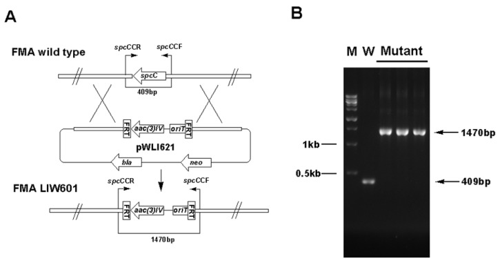 Figure S1