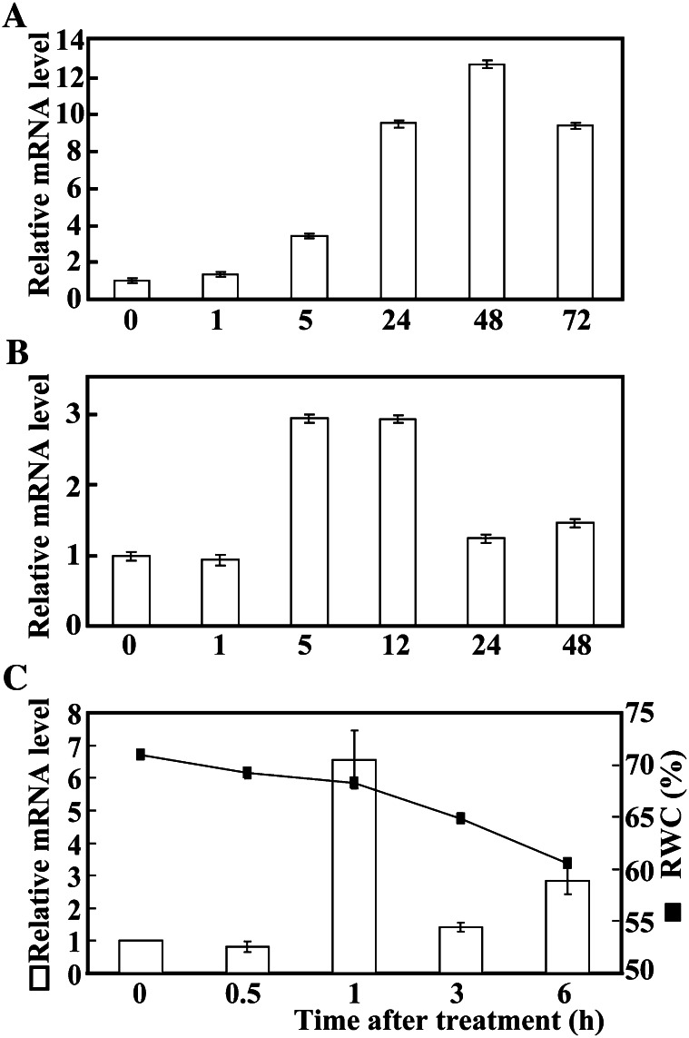 Figure 1.