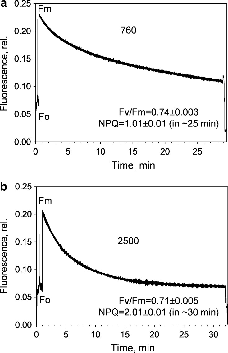 Fig. 6