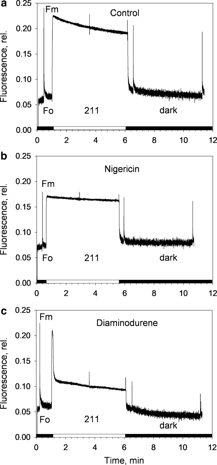 Fig. 4