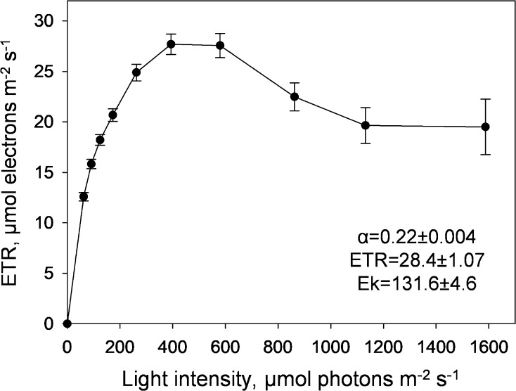 Fig. 2