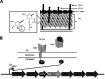 FIG 1