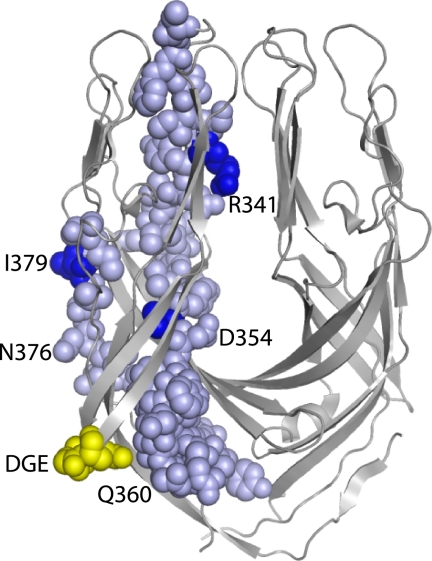 FIGURE 7.