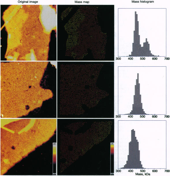 Fig. 5