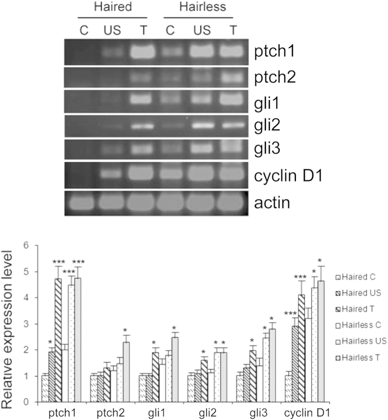 Figure 2