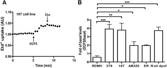 Fig. 6