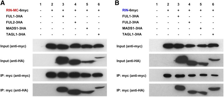 Figure 9.