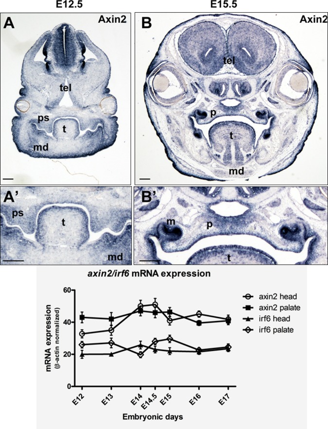 Figure 2.