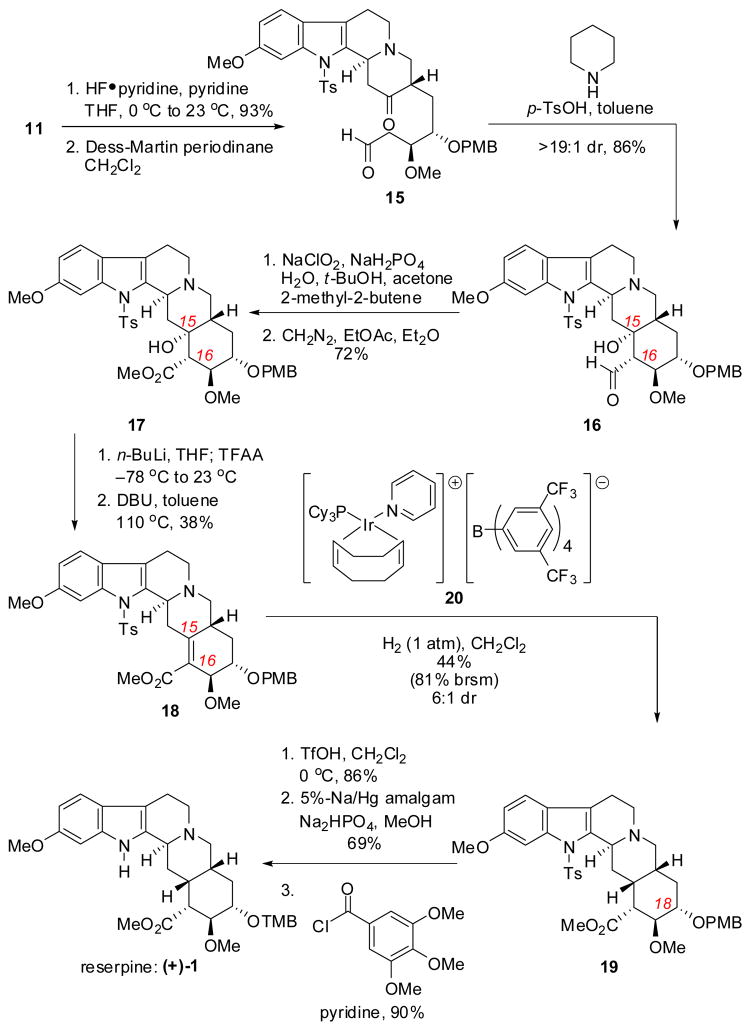 Scheme 5