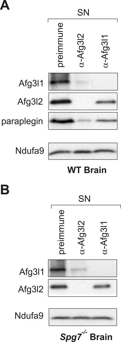 FIG. 5.