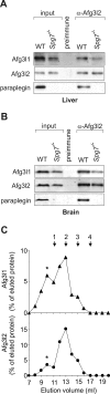 FIG. 3.