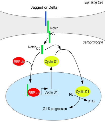 Figure 9.