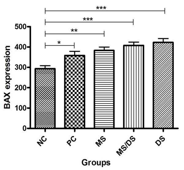 Figure 7