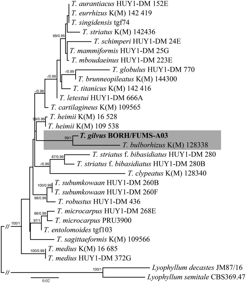 Figure 3.