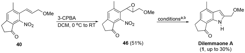 Scheme 9.