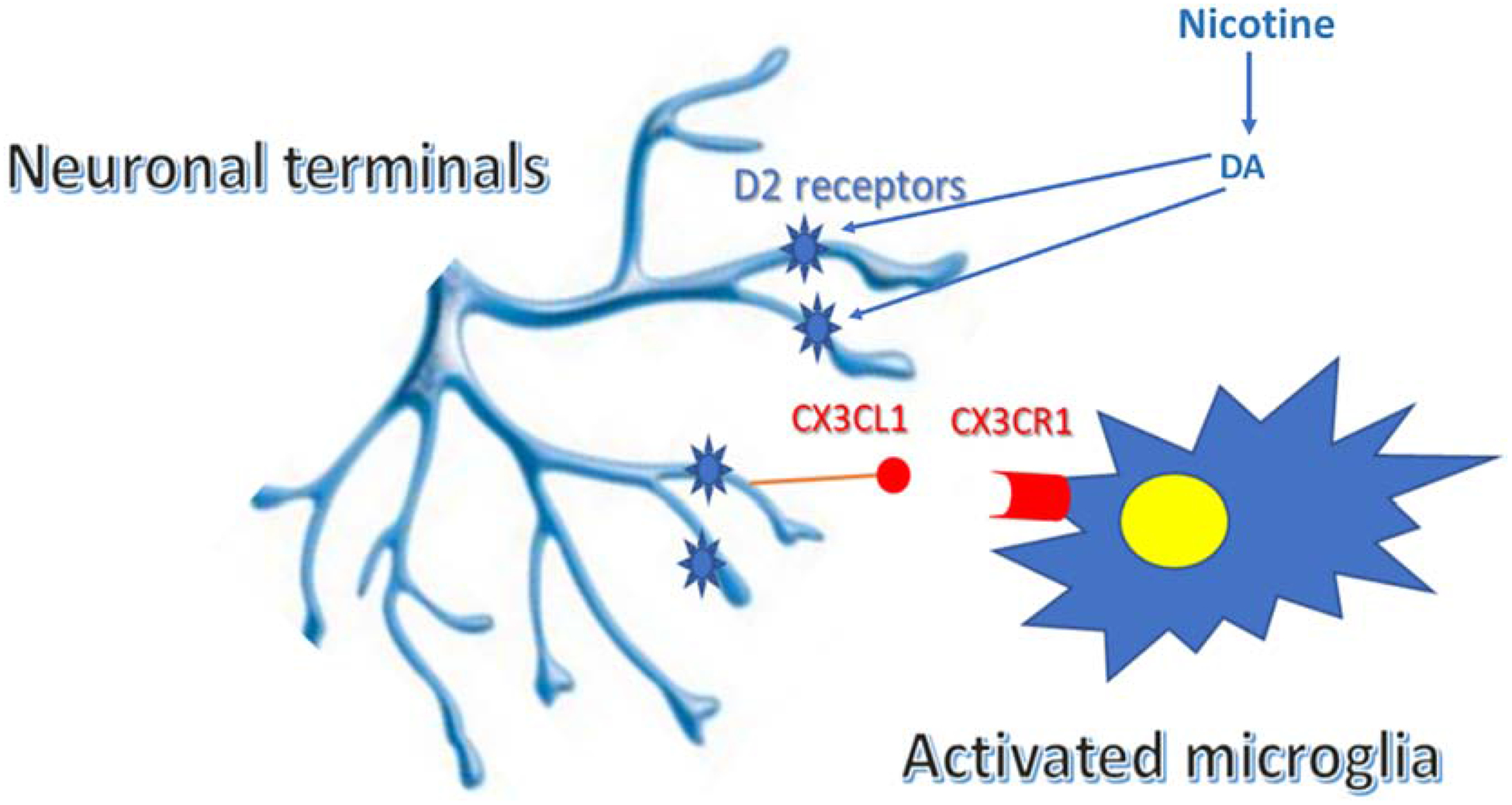 Figure 3.