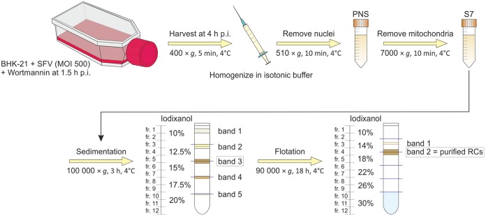 FIG 3