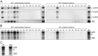 FIG 7
