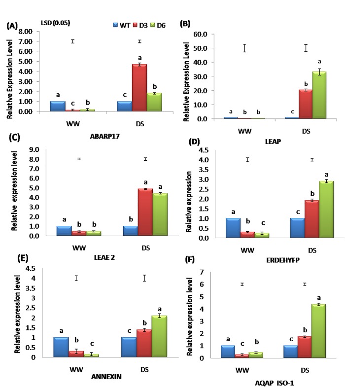 Fig 6