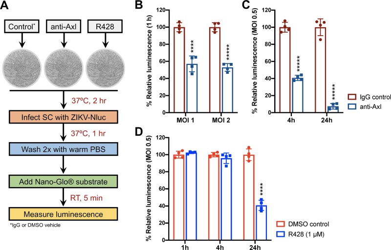 FIG 3