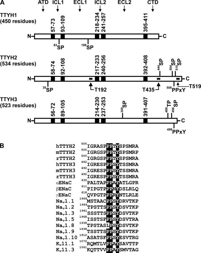 FIGURE 1.