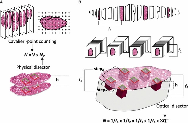 Fig. 8